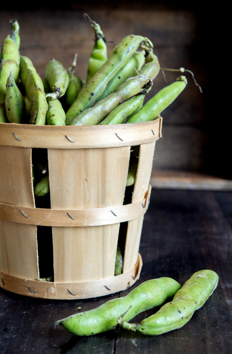 Pan-Fried Fava Bean and Pea Dumplings - WILD GREENS & SARDINES