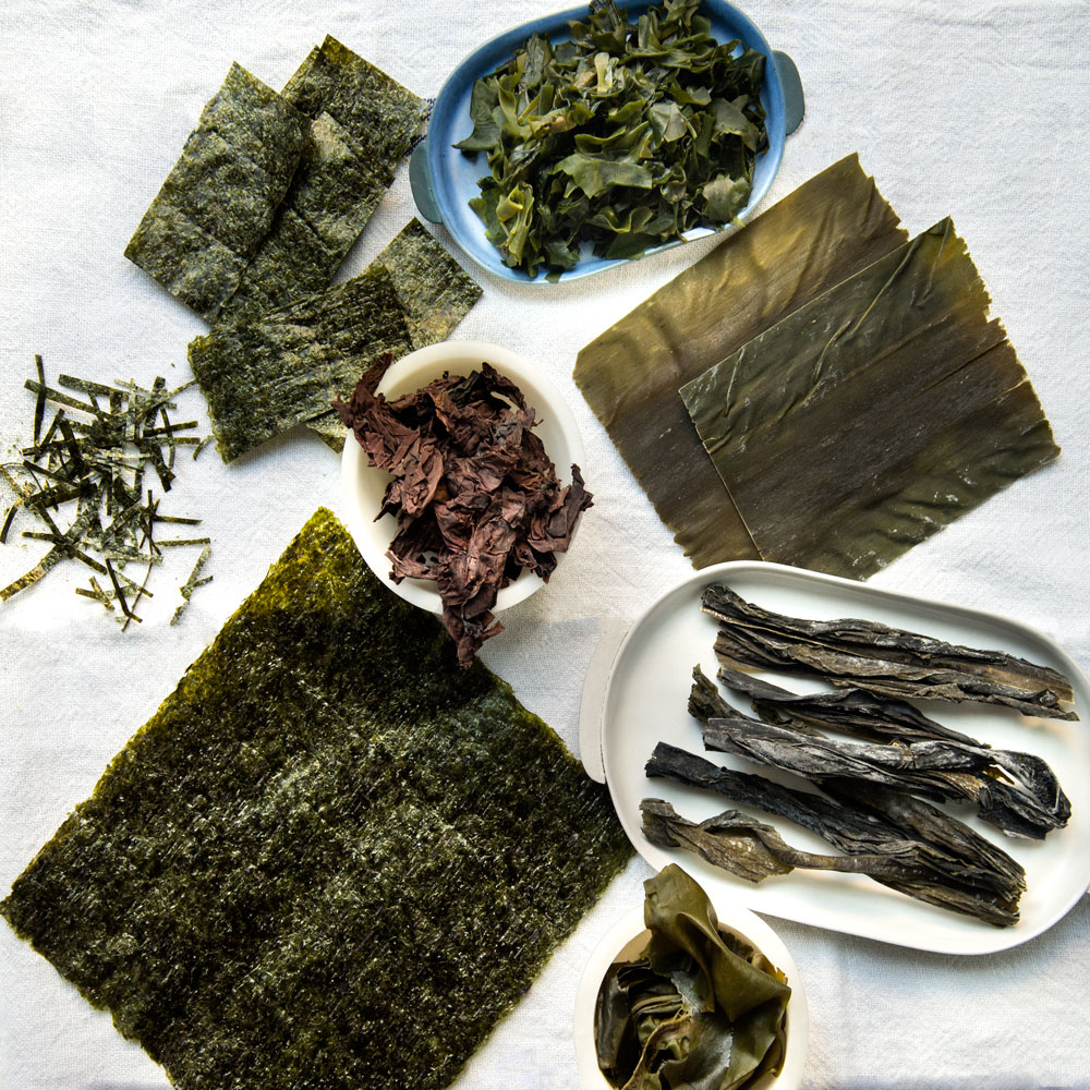 kombu vs nori