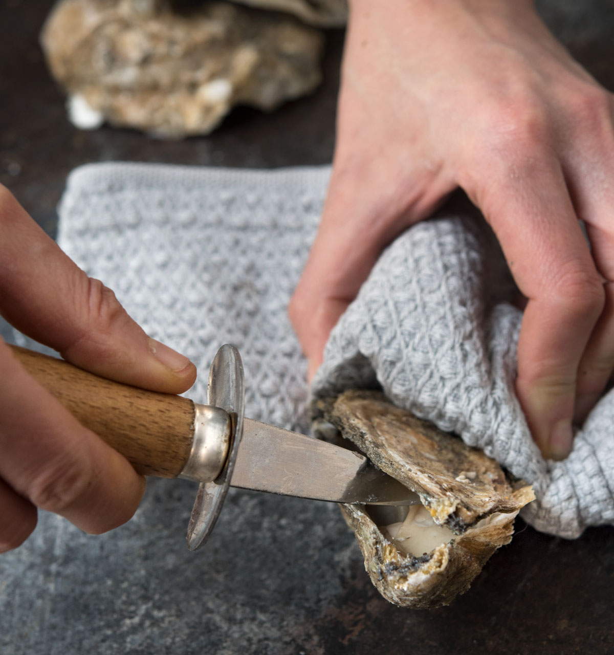 Oyster Stew  Knife & Fish