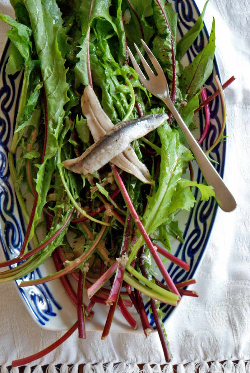 puntarelle-in-salsa-di-alici-chicory-in-anchovy-sauce-wild-greens